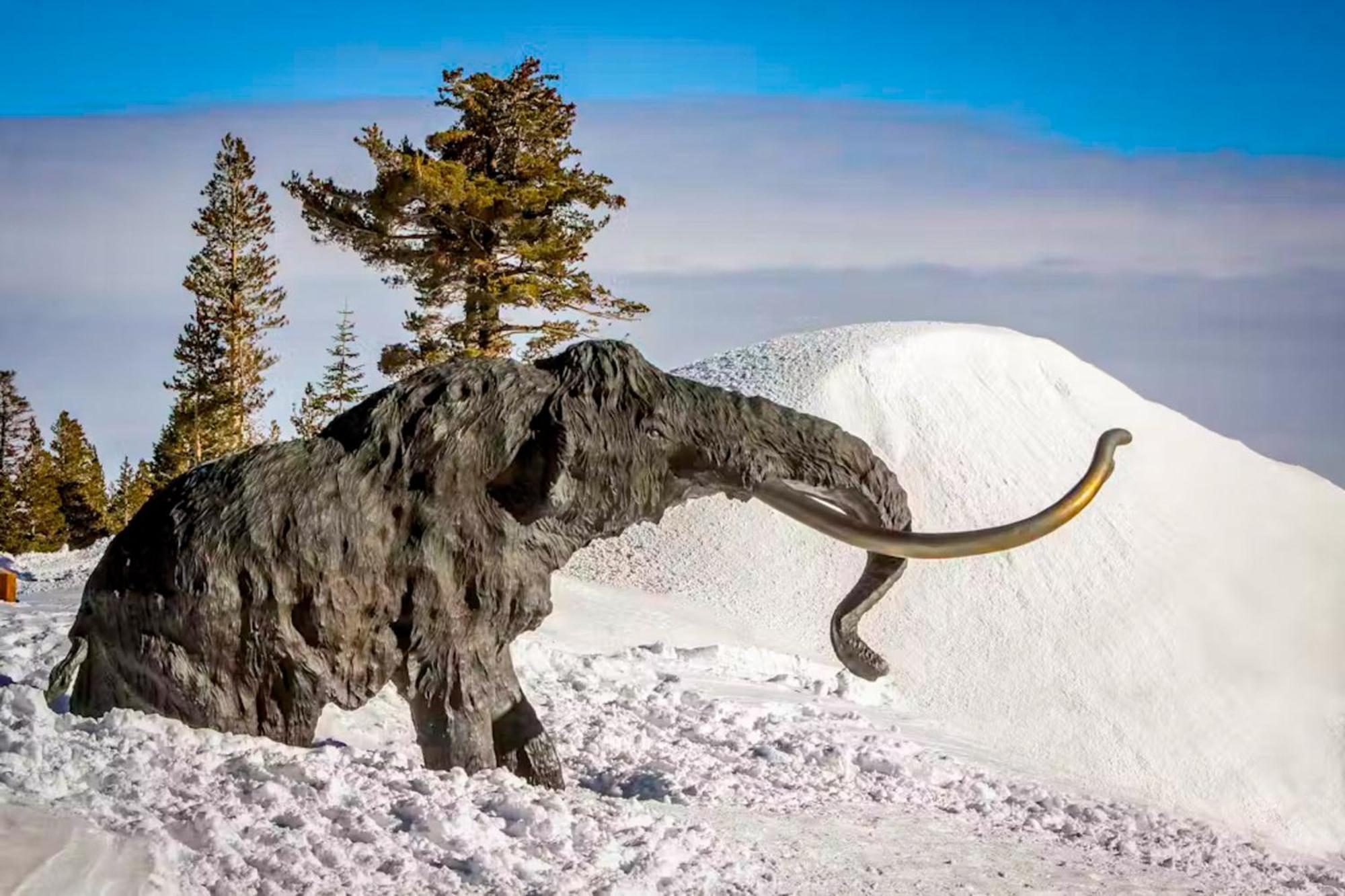 Eagle Run 107 Apartment Mammoth Lakes Luaran gambar